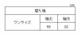 き楽っく 替え袖 夏用 絽 白 半無双 うそつき長襦袢 京都 日本製