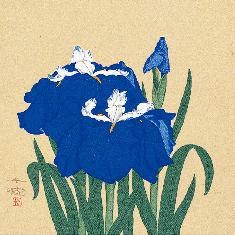 二幅（70cm幅） 日本画作家 正絹ちりめん風呂敷 【東山魁夷・花明り